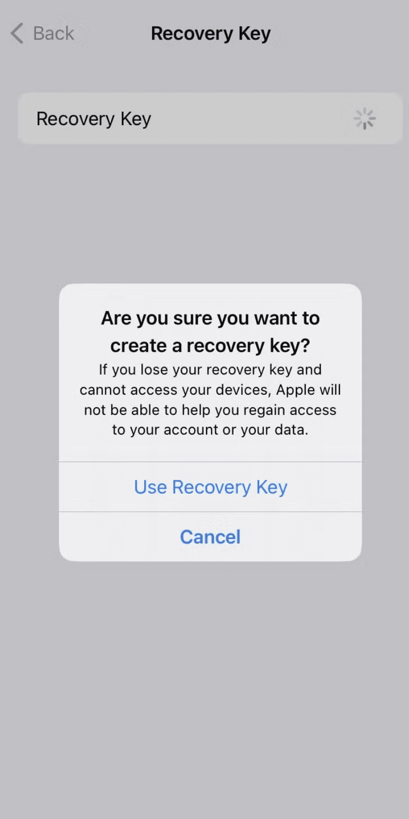 Screenshot of a confirmation pop-up on iOS that asks, ‘Are you sure you want to create a recovery key?’