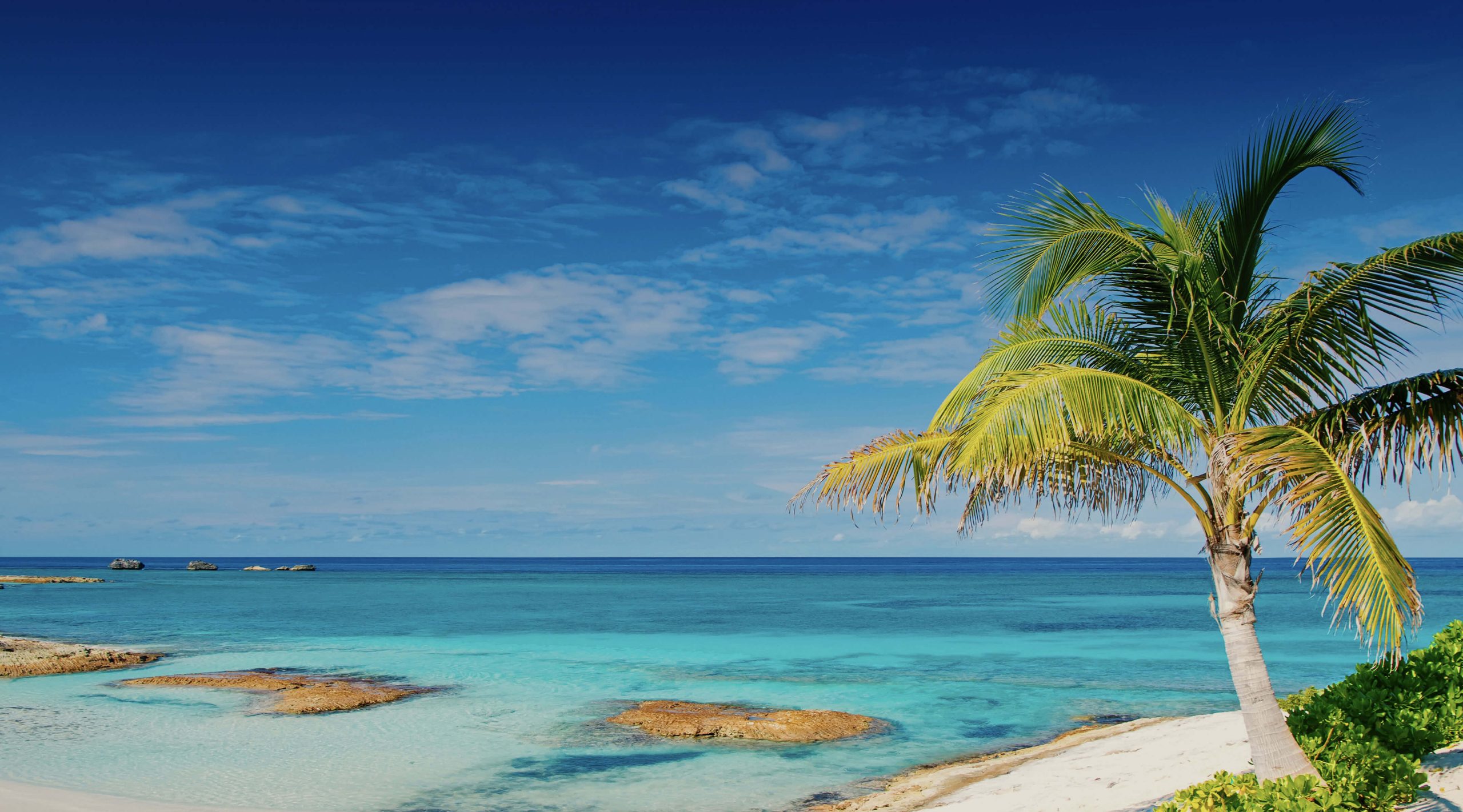 Downloaden Sie das beste VPN für die Bahamas 2025