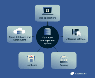 An infographic showing how different industries rely on DBMSs to manage various kinds of records.
