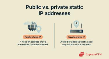 Side-by-side comparison of public and private static IPs, with a globe icon for the public type and a home-network icon for the private type.