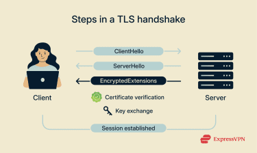 A visual overview of the steps involved in TLS 1.3 handshakes.