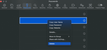 Delete saved passwords in Safari browser