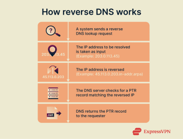 Reverse Dns 1