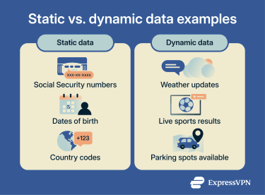 Static vs. dynamic data.